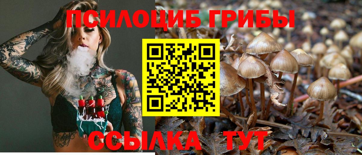 Галлюциногенные грибы ЛСД  Вход с VPN  Галлюциногенные грибы Psilocybine cubensis  Набережные Челны 